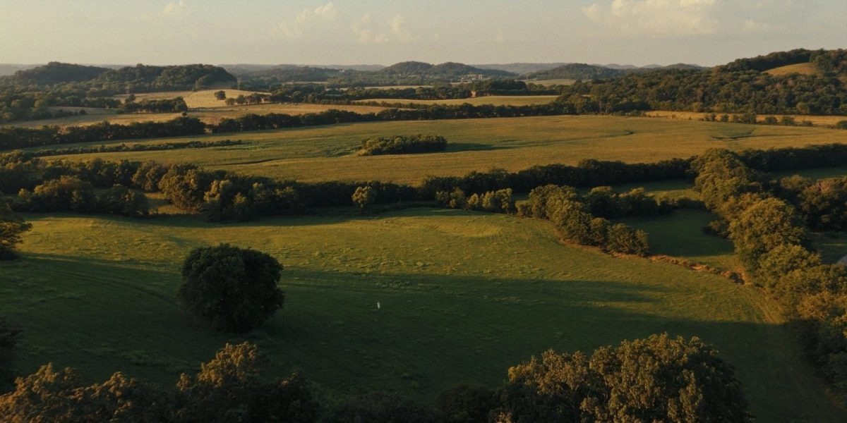 Valley pasture at The Highlands, looking west